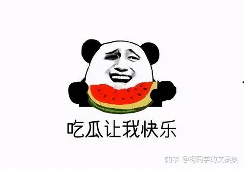 娱乐吃瓜酱不要慌,轻松应对娱乐圈风云变幻 第2张 娱乐吃瓜酱不要慌,轻松应对娱乐圈风云变幻 第2张