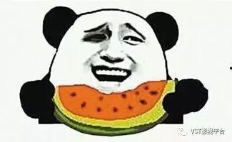 娱乐吃瓜君猴哥,揭秘网红猴哥说车的成长之路与争议事件