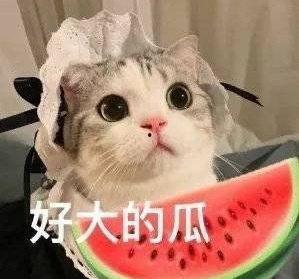 娱乐吃瓜网名女生名字,趣味横生，个性十足