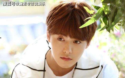 娱乐吃瓜君马天宇,从勤勉boy到争议焦点 第2张 娱乐吃瓜君马天宇,从勤勉boy到争议焦点 第2张