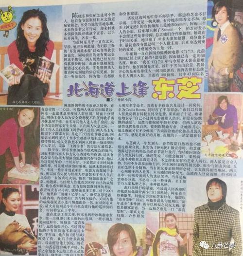 小说娱乐圈吃瓜