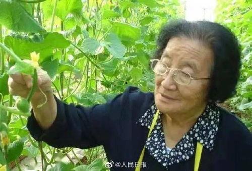 娱乐吃瓜菌生活中,吃瓜菌带你领略幕后风云