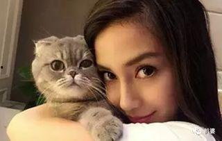 娱乐吃瓜猫咪视频大全,猫咪吃瓜视频大盘点  第2张