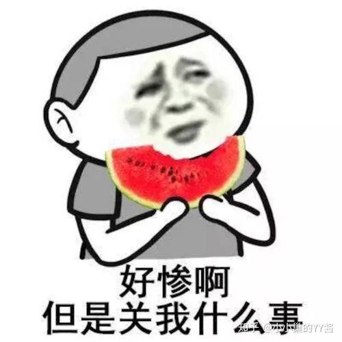 吃瓜猪娱乐学生请假,学生请假背后的故事揭秘