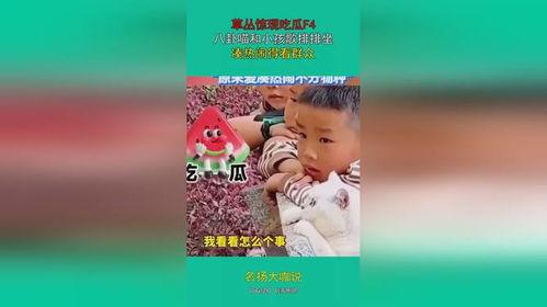娱乐吃瓜群众歌曲大全,歌曲大全盘点  第2张