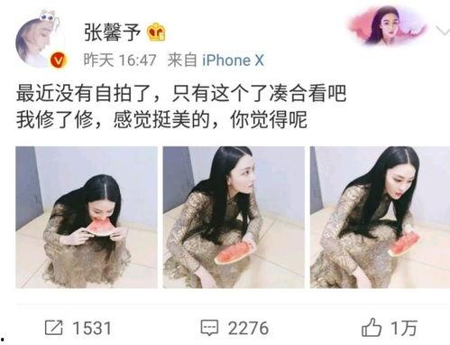 娱乐吃瓜酱自己和解,自创与解构，揭秘娱乐圈幕后风云  第2张