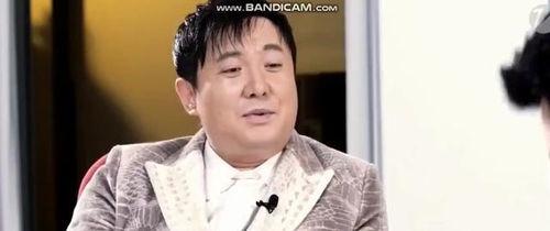 吃瓜进娱乐圈,意外踏入娱乐圈的跨界传奇  第3张