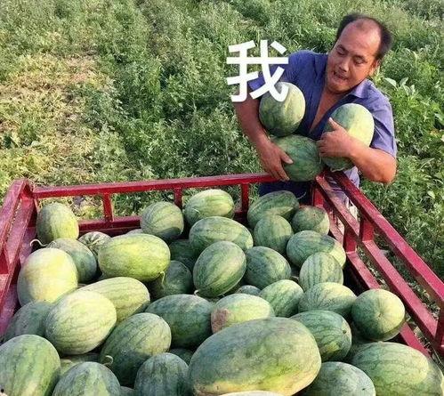 可以吃瓜娱乐圈,揭秘明星幕后故事 第2张 可以吃瓜娱乐圈,揭秘明星幕后故事 第2张
