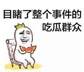 喵星娱乐吃瓜群众,吃瓜群众揭秘娱乐圈幕后真相  第1张