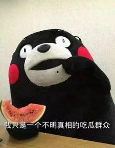 喵星娱乐吃瓜群众,吃瓜群众揭秘娱乐圈幕后真相  第2张
