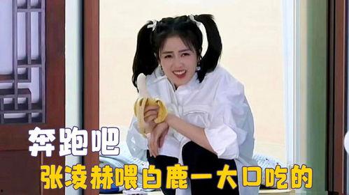 爱豆吃瓜娱乐白鹿,爱豆吃瓜娱乐背后的故事 第2张 爱豆吃瓜娱乐白鹿,爱豆吃瓜娱乐背后的故事 第2张