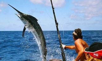 娱乐吃瓜钓鱼视频大全,全网热门娱乐吃瓜钓鱼视频大盘点