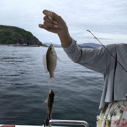 娱乐吃瓜钓鱼视频大全,全网热门娱乐吃瓜钓鱼视频大盘点 第3张 娱乐吃瓜钓鱼视频大全,全网热门娱乐吃瓜钓鱼视频大盘点 第3张