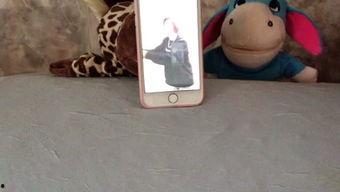 娱乐吃瓜妹钻石色,揭秘钻石色背后的故事  第3张