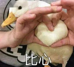 娱乐吃瓜酱鸭鸭视频,揭秘娱乐圈幕后故事  第2张