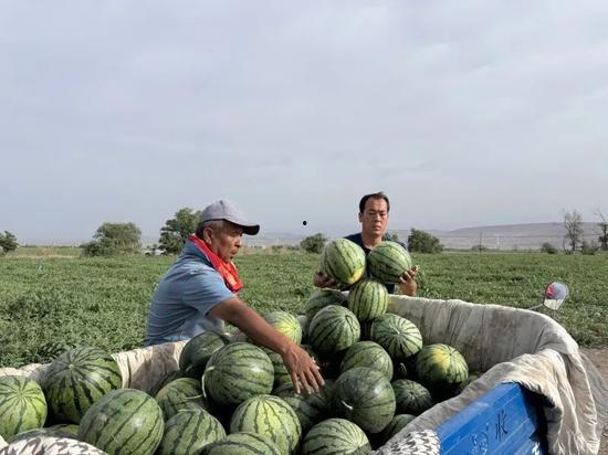 娱乐713吃瓜最新入口,最新入口带你一网打尽娱乐圈风云 第2张 娱乐713吃瓜最新入口,最新入口带你一网打尽娱乐圈风云 第2张