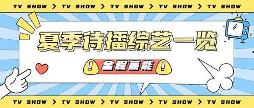 娱乐吃瓜号的配音,吃瓜号配音背后的故事  第3张