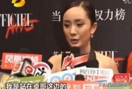 娱乐圈吃瓜会长,揭秘明星背后的故事与真相  第2张