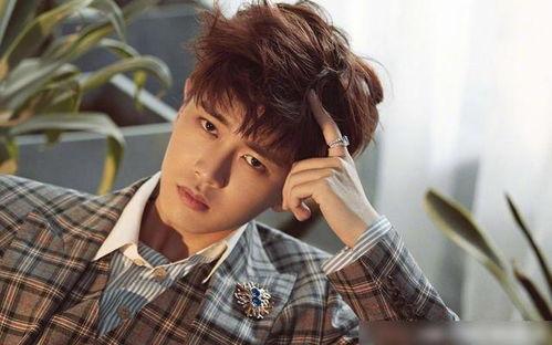 娱乐吃瓜蜀黍任嘉伦,娱乐吃瓜蜀黍的星光璀璨之路