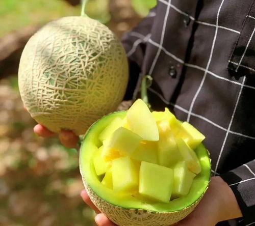 糯米娱乐圈吃瓜,揭秘明星们的“吃瓜”日常  第2张