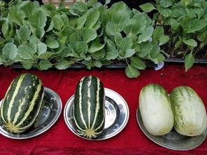 娱乐吃瓜壁纸高清图片,一图览尽娱乐圈风云变幻  第2张