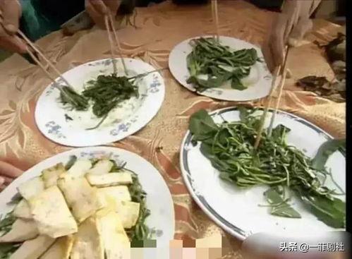 吃瓜娱乐圈菜,揭秘明星幕后故事  第3张