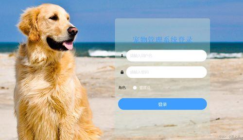 娱乐吃瓜酱宠物收养,揭秘宠物界的温馨故事  第2张