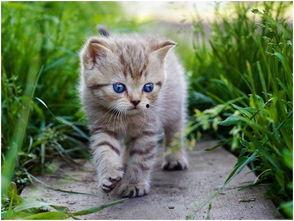 娱乐吃瓜酱貓咪,揭秘娱乐圈那些不为人知的幕后故事 第2张 娱乐吃瓜酱貓咪,揭秘娱乐圈那些不为人知的幕后故事 第2张