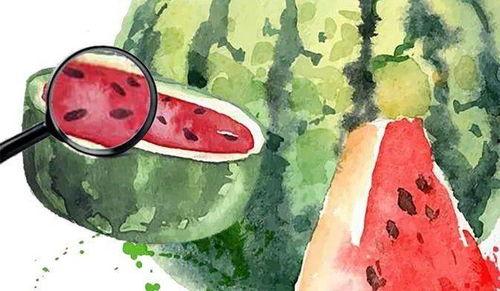 娱乐吃瓜场地是什么,探寻明星幕后故事的热门聚集地  第2张