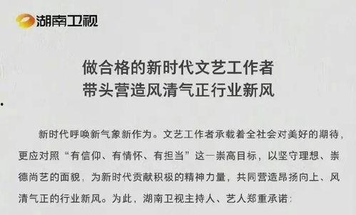 吃瓜娱乐圈总结,揭秘明星幕后故事  第3张