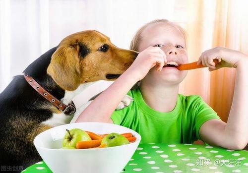 娱乐吃瓜菌狗狗视频,萌宠视频里的欢乐时光  第2张