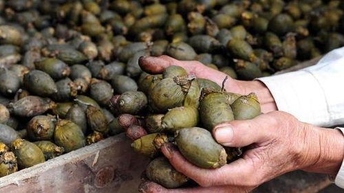 娱乐吃瓜小花当枪,揭秘当红明星背后的幕后故事 第2张 娱乐吃瓜小花当枪,揭秘当红明星背后的幕后故事 第2张