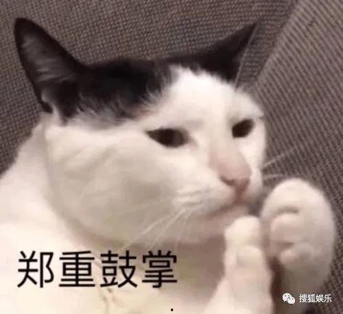 娱乐吃瓜酱不如猫,揭秘娱乐圈幕后那些事儿 第3张 娱乐吃瓜酱不如猫,揭秘娱乐圈幕后那些事儿 第3张