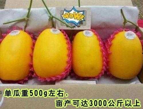 娱乐高质量吃瓜,明星们的“吃瓜”盛宴  第3张