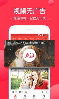 娱乐吃瓜文案视频下载,娱乐文案背后的下载狂潮 第3张 娱乐吃瓜文案视频下载,娱乐文案背后的下载狂潮 第3张