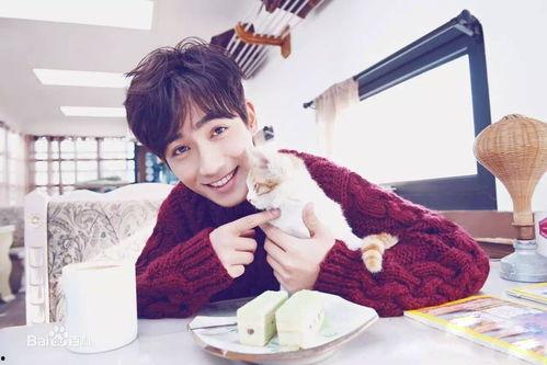 娱乐吃瓜酱南方男友,娱乐吃瓜酱的甜蜜邂逅 第2张 娱乐吃瓜酱南方男友,娱乐吃瓜酱的甜蜜邂逅 第2张