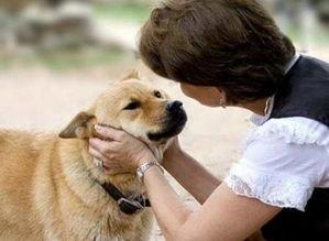 娱乐吃瓜养狗视频,娱乐吃瓜两不误,萌宠视频圈粉无数 第3张 娱乐吃瓜养狗视频,娱乐吃瓜两不误,萌宠视频圈粉无数 第3张