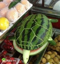 娱乐吃瓜酱卖糖水,甜蜜一夏！  第2张