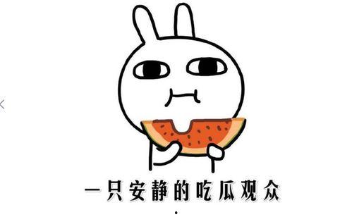 娱乐吃瓜酱如何吵架,一招制胜的口水战攻略  第3张