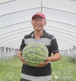 寺寺娱乐吃瓜 第1张 寺寺娱乐吃瓜 第1张