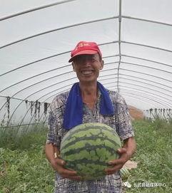 寺寺娱乐吃瓜 第2张 寺寺娱乐吃瓜 第2张