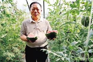 寺寺娱乐吃瓜 第3张 寺寺娱乐吃瓜 第3张