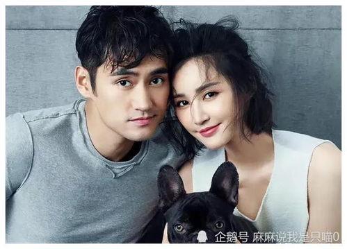 明星爆料娱乐吃瓜君,娱乐圈幕后真相大揭秘！  第1张